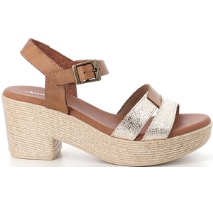 XAPATAN 2013<br>Camel