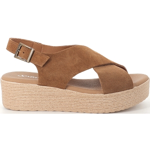 XAPATAN 2041<br>Camel