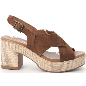 XAPATAN 2147<br>Camel