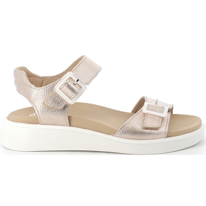 ARA 21402 MADEIRA-S<br>Doré