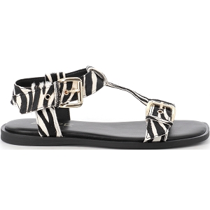 ALPE 5598 ZEBRE<br>Zebre