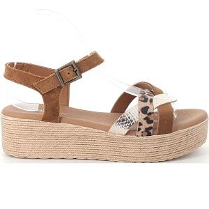 XAPATAN 2046<br>Camel