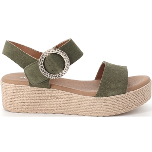XAPATAN 3063<br>Vert