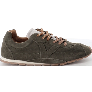 VICTORIA 1159100 ASTER<br>Vert