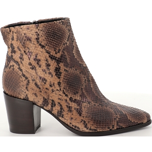 ANCAMY AGATA<br>Python